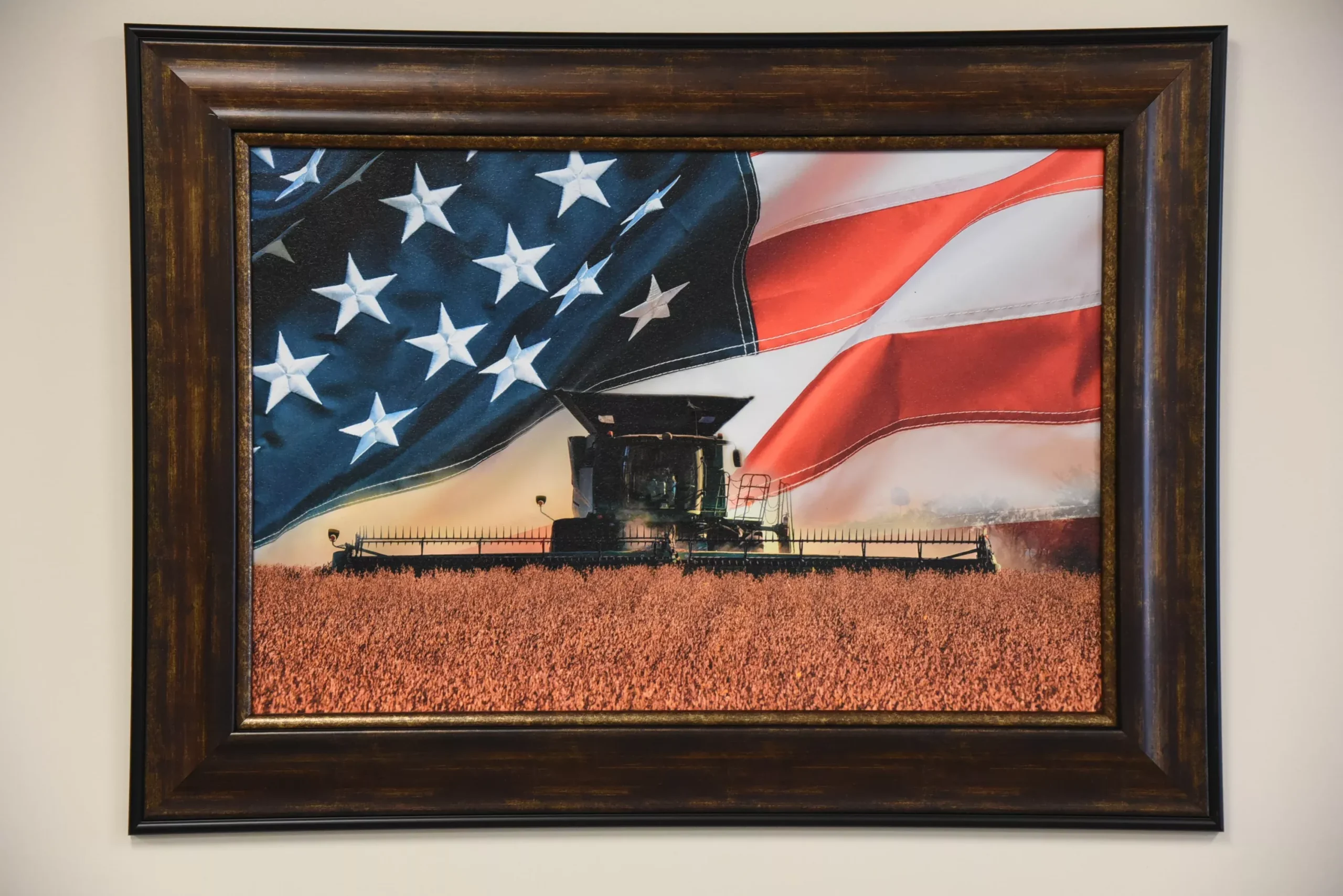 "Stars & Stripes" Framed Canvas Print